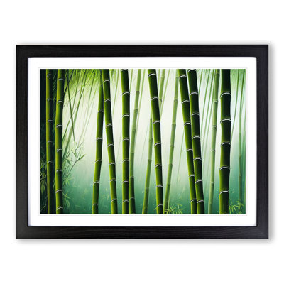 Contoured Bamboo Forest - Framed Print