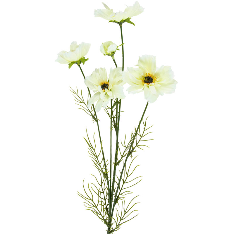 Cosmos Arrangement, Ivory