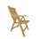 Carina Outdoor Teak Lounge Chair