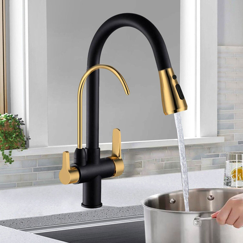 Belfry Kitchen Alfon Pull Out Kitchen Faucet