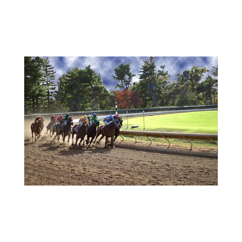 At the Race Track 1 Piece Wrapped Canvas Wall Art, 20.32 cm H x 30.48 cm W