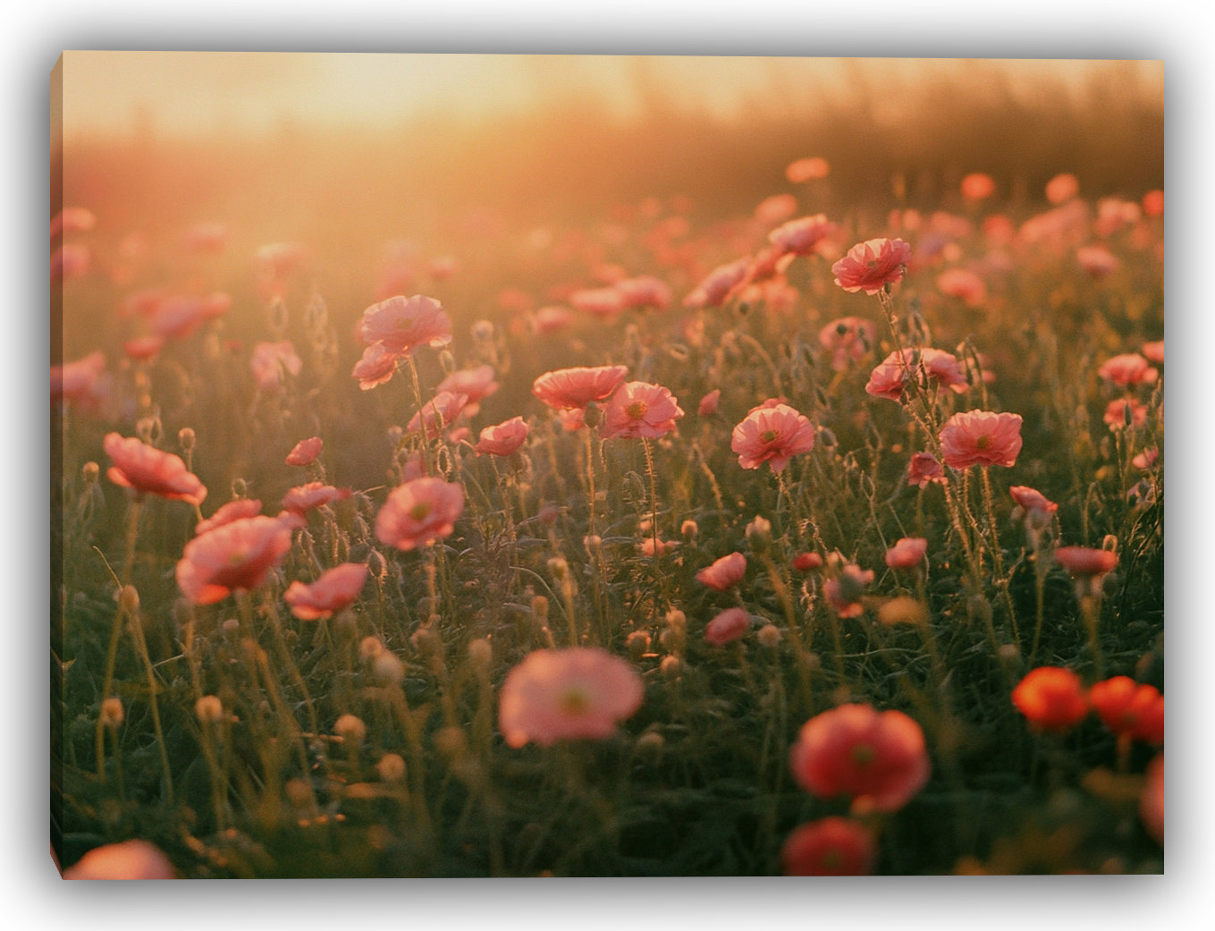 Ebern Designs Pink Serenity - Dreamy Floral Canvas Wall Art | Wayfair