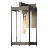 Cela Outdoor Wall Lantern-88501488-88501492-118433159