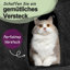 70cm H Cat Tree-1610102004