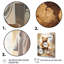 «Bear Laundryroom Bubbles 1», art mural-433256691
