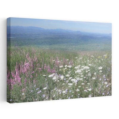 Collines de fleurs sauvages - Art contemporain contemporain avec vue sur la montagne et fleurs sauvages
