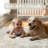 Elaine Machine Washable Area Rugs For Living Room With Non-Slip Backing-2000575397