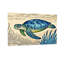 Tortue de mer-1315957860-1315957882-1315957881