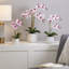 Faux orchidée Phalaenopsis-1623614986