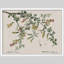 «Robinia Flowers Chamlagu Rustic Artwork, impressions encadrées, affiches, petit art mural de salle de bain»-101825481-101825482