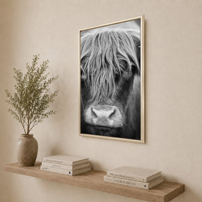 Nez de vache BW