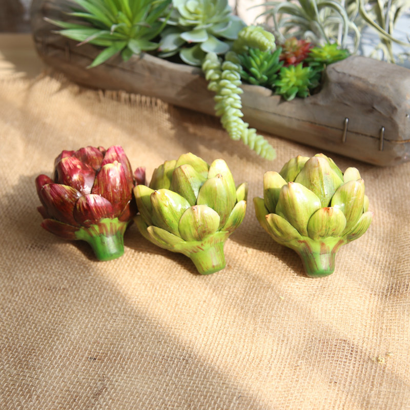 Succulent Arrangement