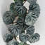 Foliage Plants 50cm Faux Plant