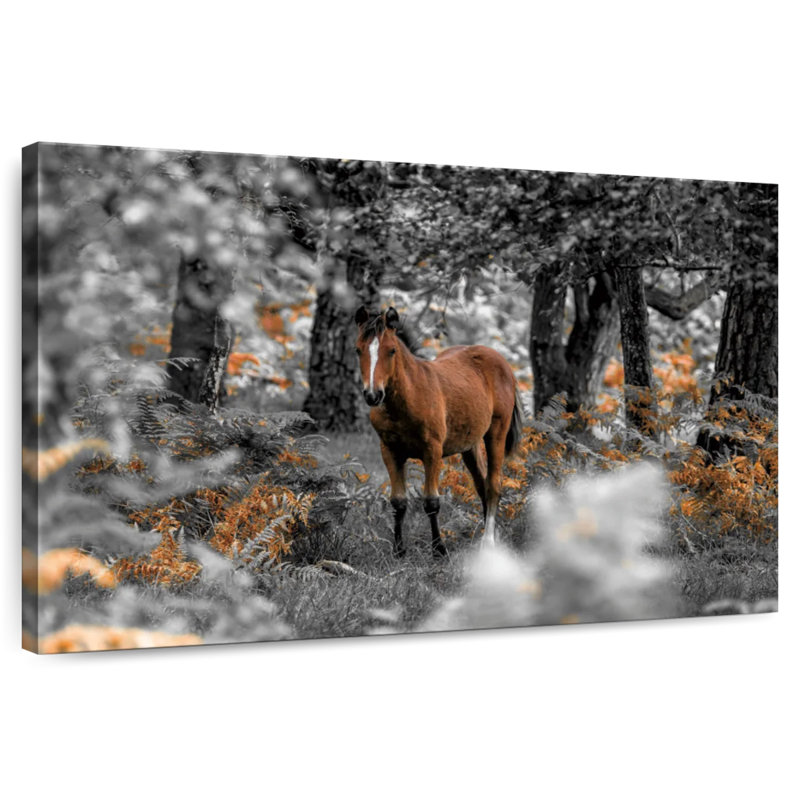 Brampt Horse Trails I, 34" H x 51" W