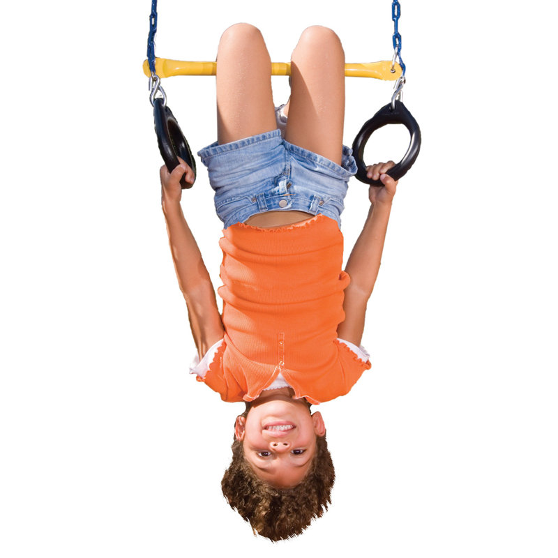3pc Swing Bundle - 2 Belt Swings with Chains and 1 Trapeze/Ring Combo, Blue, Blue