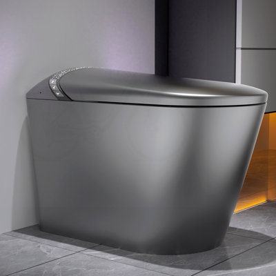Starry Night Light Smart Bidet Toilet with Auto Open/Close and Side Touch Buttons