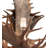 64" Wide 12 Light Chandelier