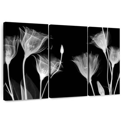 Harnek BW Gentian