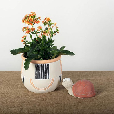 Cache pot de ciment