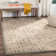 Tuthill Performance Oriental Rug