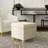 Asha 17.5" Square Storage Ottoman-1729024935