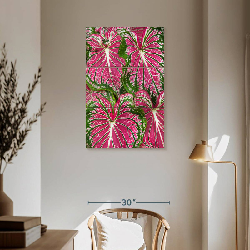 Feuilles Harnek Caladium, H 57 po x l 36 po