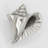 2" Conch Shell Right Facing Knob-39948747