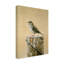 «Savannah Sparrow» d'Etelca, impression sur toile tendue-27649575