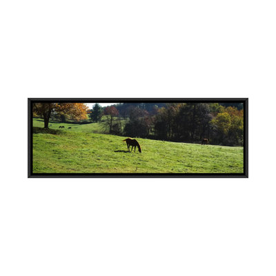 «Horses Grazing in a Field, Kent County, Michigan», reproduction de photo sur toile