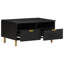 Afolabi Coffee Table with Storage