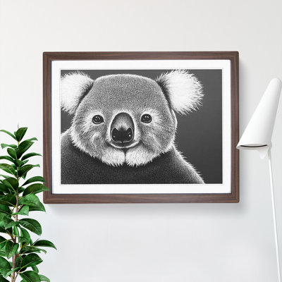 Koala Bear - Framed Print