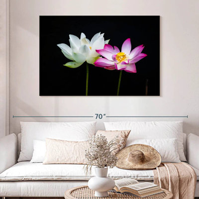 Fleurs de lotus roses et blanches Harnek