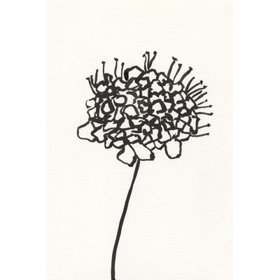 Encre, croquis botanique V