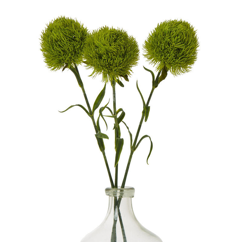 Anastasija Arrangement, Green
