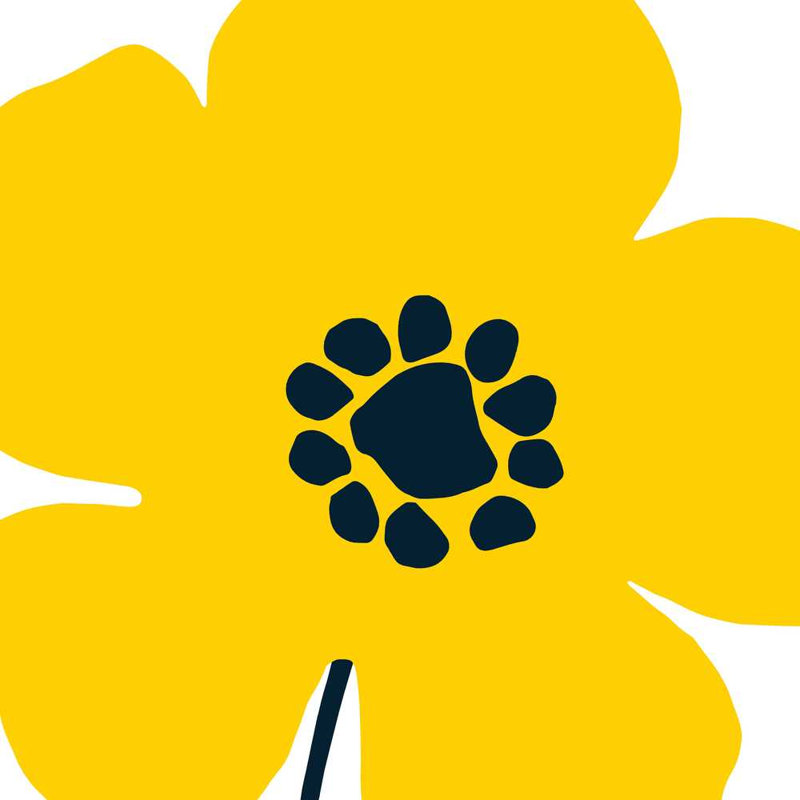 Pop Art Floral I - jaune, H 20 po x l 20 po x P 1,25 po