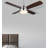 Brinda 48'' Ceiling Fan with LED Lights
