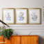 «Sketchy Bath I», ensemble de 3 cadres photo-1803599400-1803599398