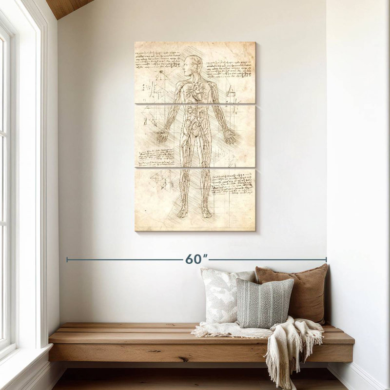 Keiri Human Circulatory System, 45" H x 28" W