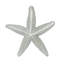 2" Starfish Small Knob-39948825-104674673-126755978