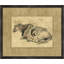 Charcoal Animal Collection 4 Print