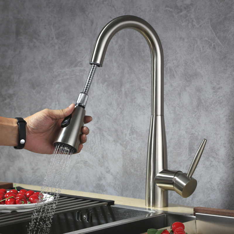 Dowell Pull Out Kitchen Faucet