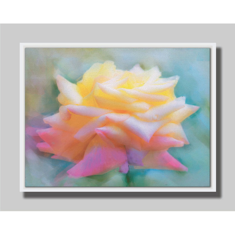 Pastelacace de Hal Halli. Estampe numérique, H 30,5 po x l 40,5 po, Impression encadrée sans passe-partout, Blanc