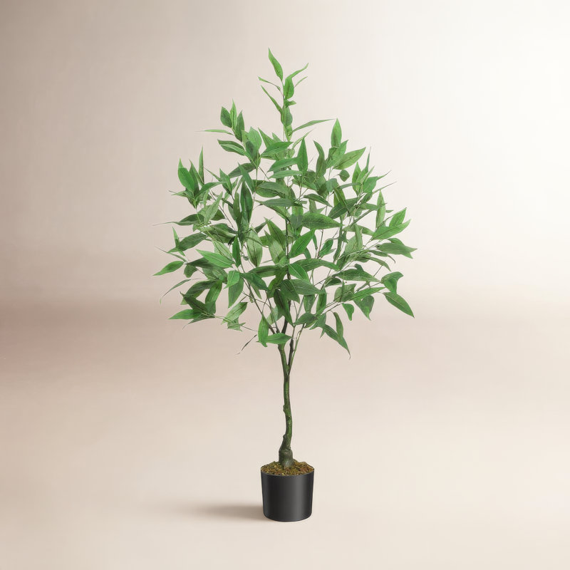 Arbre à eucalyptus artificiel, H 48 po x l 6 po x P 6 po