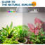 Symple Stuff Grow Light