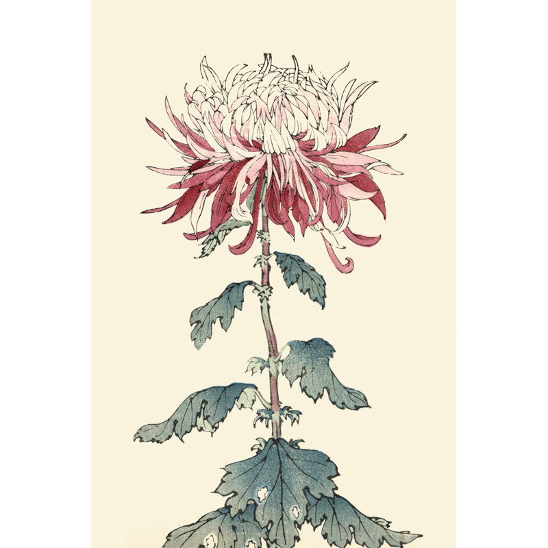 Chrysanthemum Woodblock III - Art Print, Black Floater Framed, 46 cm H x 30 cm W