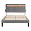 Daycia Upholstered Storage Bed