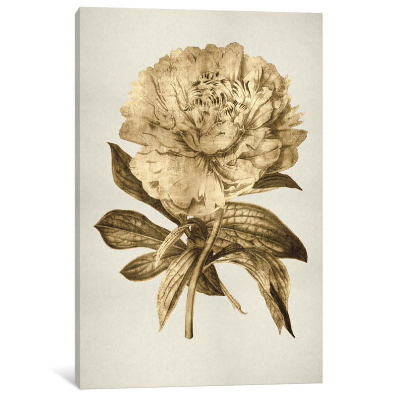 « gold tulip ii », reproduction d’art sur toile, H 24 po x l 16 po x P 1 po, Papier d'art encadré noir, Blanc