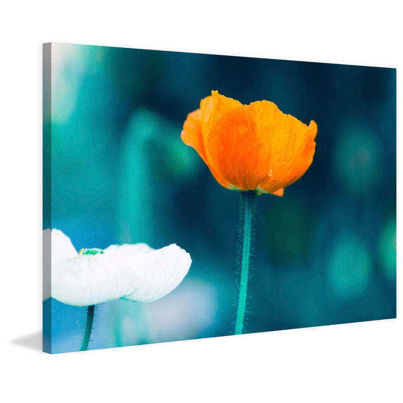 « pop of color » par morgan j hartley, reproduction d’art sur toile tendue, H 16 po x l 24 po x P 1,5 po