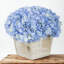 Arrangement d'hortensias lavande en pot synthétique-21224845