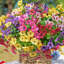 Fleurs artificielles pour l'extérieur, 16 fleurs en soie artificielle résistantes aux rayons UV